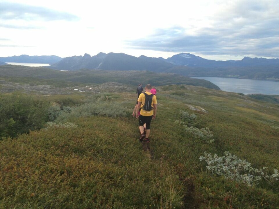 FÅR STØTTE. IL Knubben har fått penger til å sette opp bålutstyr i turløyper og gapahuk. Dette blidet er fra Knubbentrimmen som med utgangspunkt i Røsvik går innom Sjunkhatten nasjonalpark. FÅR STØTTE. IL Knubben har fått penger til å sette opp bålutstyr i turløyper og gapahuk. Dette blidet er fra Knubbentrimmen som med utgangspunkt i Røsvik går innom Sjunkhatten nasjonalpark. Foto: Eva S. Winther