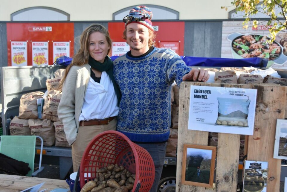 Salten matSalten matfestival