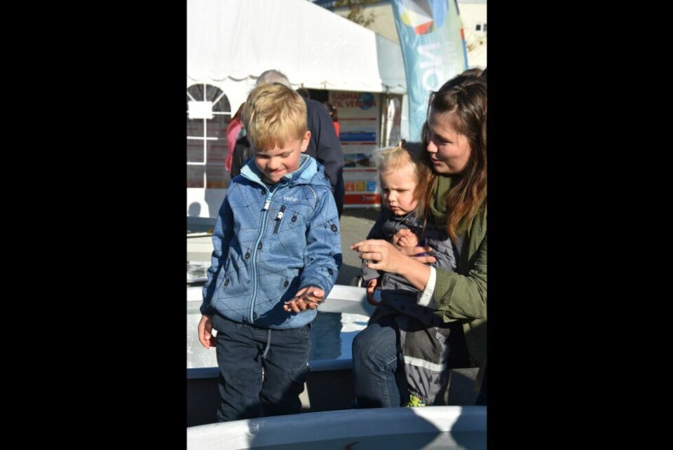 Salten matSalten matfestival