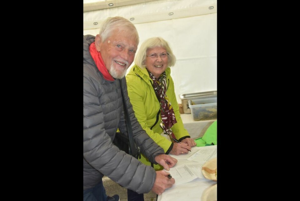 Salten matSalten matfestival