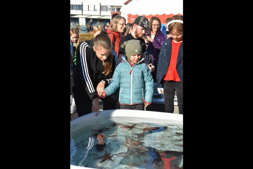 Salten matSalten matfestival
