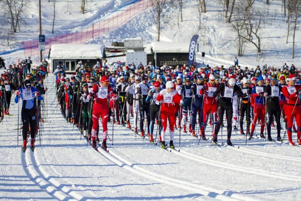 DATOEN SATT. Rennledelsen er glade for at de har funnet en dato i april da det ikke er andre store renn i landsdelen. DATOEN SATT. Rennledelsen er glade for at de har funnet en dato i april da det ikke er andre store renn i landsdelen. Foto: Karianne Grønbech