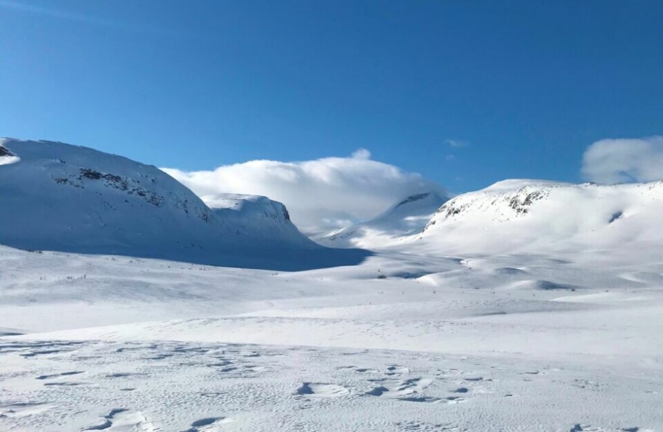 FJELLET LOKKER. Slik der det ut i Rykkjedalen i Junkerdal nasjonalpark. I fjellet er det fine forhold for å gå på ski, men det er et stykke å gå for å komme akkurat hit. FJELLET LOKKER. Slik der det ut i Rykkjedalen i Junkerdal nasjonalpark. I fjellet er det fine forhold for å gå på ski, men det er et stykke å gå for å komme akkurat hit. Foto: Jim Tovås Kristensen, Statskog Fjelltjenesten