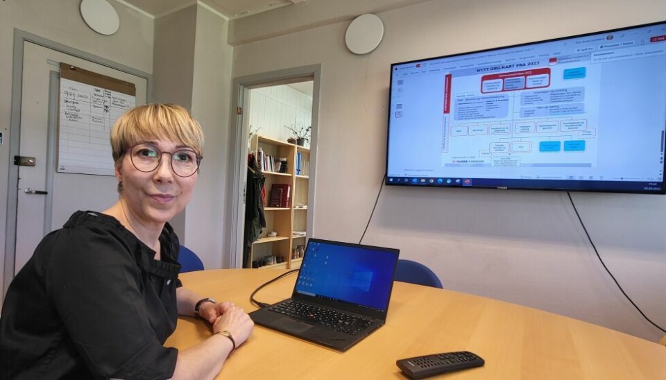 ALVOR. – Jeg hadde ikke god nok kunnskap om detaljene i regelverket, og heller ikke grep om det tekniske som IT bisto med, forklarte Lundberg. ALVOR. – Jeg hadde ikke god nok kunnskap om detaljene i regelverket, og heller ikke grep om det tekniske som IT bisto med, forklarte Lundberg. Foto: Stig Bjørnar Karlsen