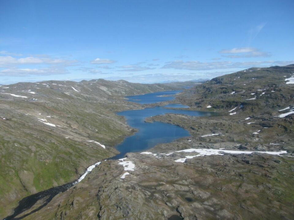 I SØRFOLD. Veiski ligger helt sørøst i Sørfold. De samme som har fått konsesjon til Veiski kraftverk der, har søkt om konsesjon for Blåmann kraftverk i Blåmannelva ikke så langt unna. I SØRFOLD. Veiski ligger helt sørøst i Sørfold. De samme som har fått konsesjon til Veiski kraftverk der, har søkt om konsesjon for Blåmann kraftverk i Blåmannelva ikke så langt unna.