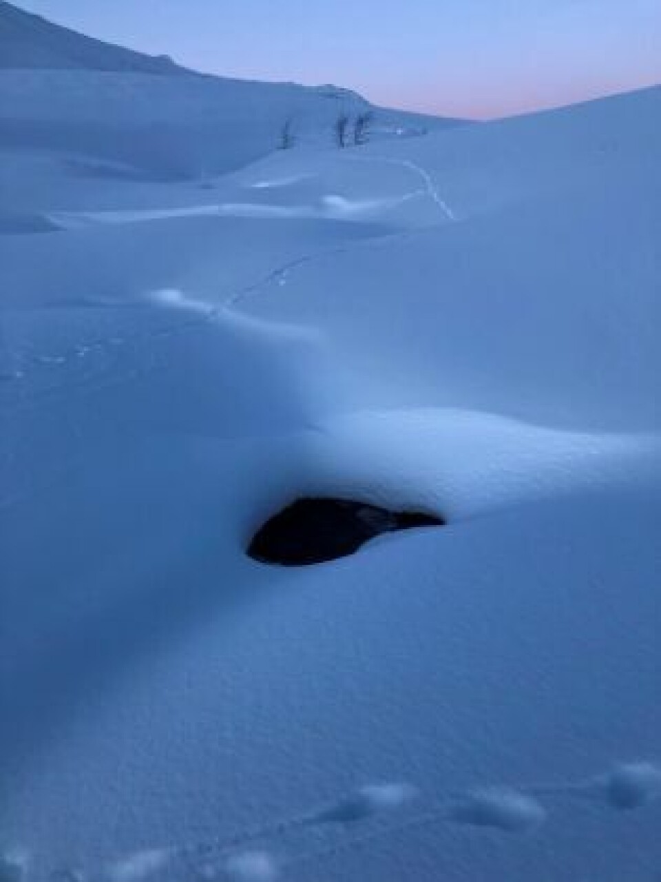 ÅPNE BEKKER. Noen bekker er fortsatt åpne. Her ved Øvre Oksvatn, Beiarfjellet. Foto Tore Veisetaune, Statskog Fjelltjenesten ÅPNE BEKKER. Noen bekker er fortsatt åpne. Her ved Øvre Oksvatn, Beiarfjellet. Foto Tore Veisetaune, Statskog Fjelltjenesten