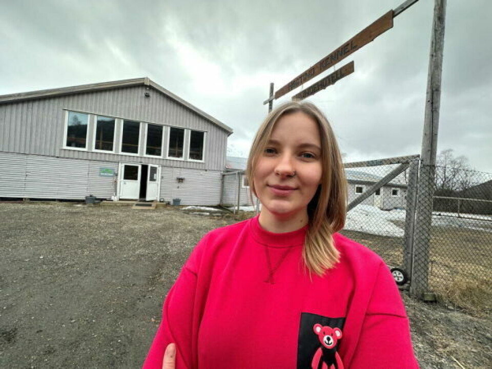 SALONG. Alona Mamedova (26) driver salongen sin ut fra hundehotellet på Moldjord. De har ofte gjester fra omkringliggende kommuner, spesielt bodøværinger er gode kunder. SALONG. Alona Mamedova (26) driver salongen sin ut fra hundehotellet på Moldjord. De har ofte gjester fra omkringliggende kommuner, spesielt bodøværinger er gode kunder. Foto: Erica Restoften
