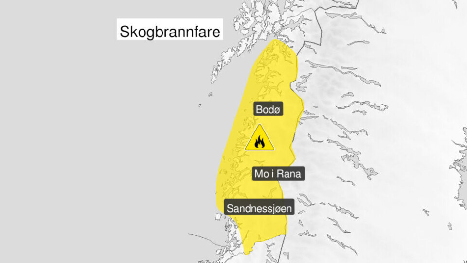 SKOGBRANNFARE. Vegetasjon kan lett antennes og store områder kan bli berørt. SKOGBRANNFARE. Vegetasjon kan lett antennes og store områder kan bli berørt. Foto: Skjermdump fra Yr.no