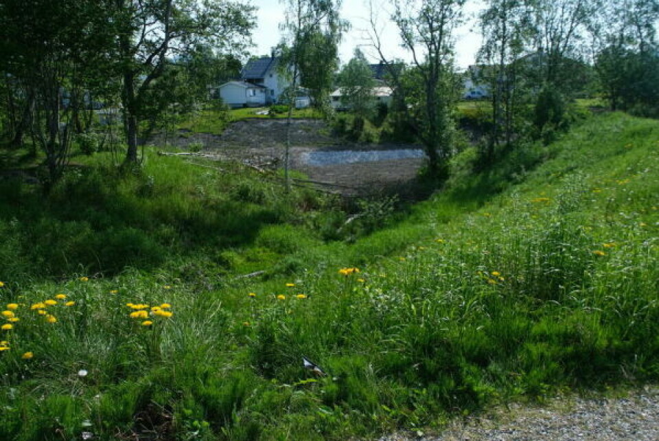 AKEBAKKEN. I dette området vil det bli etablert akebakke på dugnad. AKEBAKKEN. I dette området vil det bli etablert akebakke på dugnad. Foto: Ida Bjørkquist