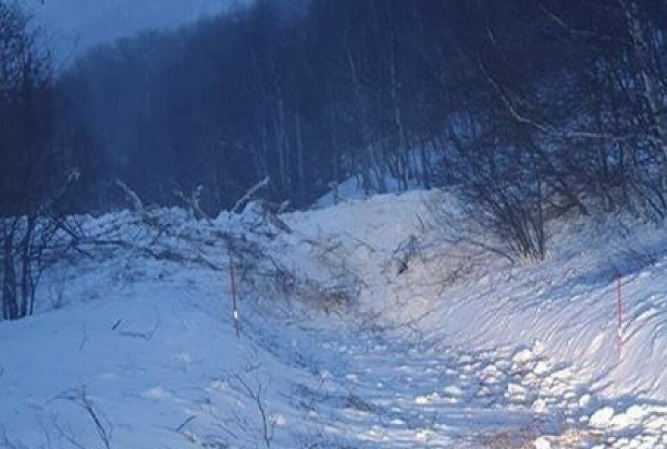 SPERRER VEI. Slik har snøraset lagt seg på den kommunale veien. Det er et bredt ras, selv om det har smalnet på vei nedover lia. SPERRER VEI. Slik har snøraset lagt seg på den kommunale veien. Det er et bredt ras, selv om det har smalnet på vei nedover lia. Foto: Kristoffer Toppen Halvorsen