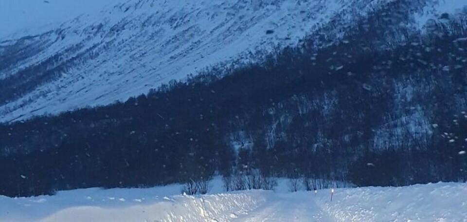 NED LIA. Snøraset startet høyt oppe i lia, og der hadde det stor bredde. NED LIA. Snøraset startet høyt oppe i lia, og der hadde det stor bredde. Foto: Kristoffer Toppen Halvorsen