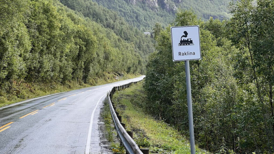 RAKLINA. Etter plassen der Krokbekken kommer ned fra Daniel-heia kommer en lang rett strekning inn mot Ryphola. Den heter, ikke unaturlig, Raklinja. RAKLINA. Etter plassen der Krokbekken kommer ned fra Daniel-heia kommer en lang rett strekning inn mot Ryphola. Den heter, ikke unaturlig, Raklinja. Foto: Espen Johansen