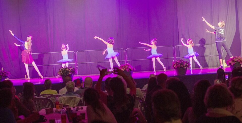 Barneshowet 'Dance with me tonight'Fra Dans Fauskes barneshow 10. juni 2017