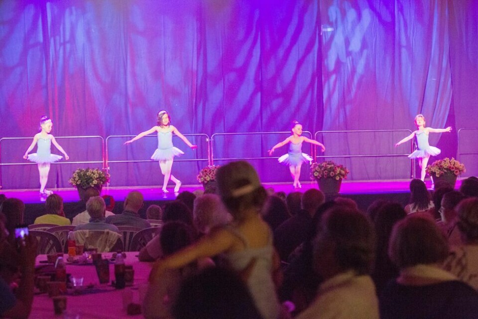 Barneshowet 'Dance with me tonight'Fra Dans Fauskes barneshow 10. juni 2017