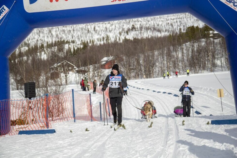 Reinhornrennet 2017Reinhornrennet 2017
