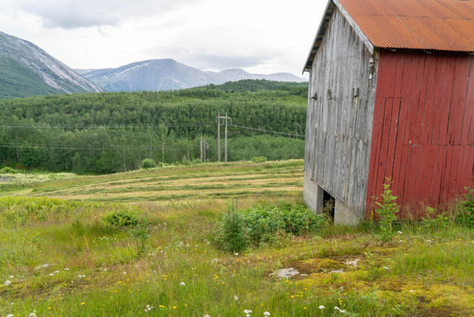UTE KONSERT. Planen er å sette opp en scene på jordet nedfor gamle fjøsen. UTE KONSERT. Planen er å sette opp en scene på jordet nedfor gamle fjøsen. Foto: Anita Sjåvik