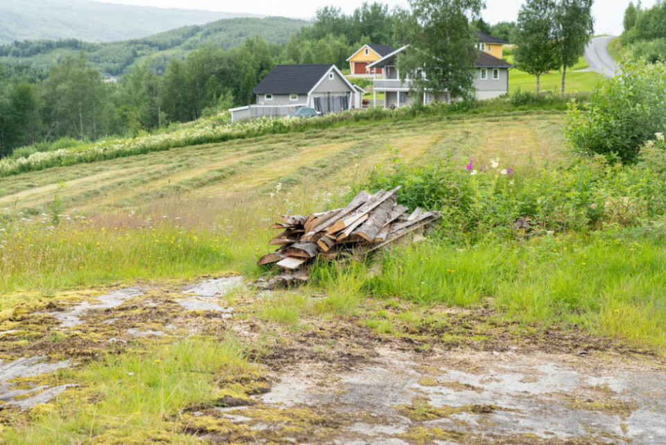 BENKER. Tømmeret som ligger her skal bli plassert ut som benker i skråningen, også får Osnes låne benker fra skistadionet. BENKER. Tømmeret som ligger her skal bli plassert ut som benker i skråningen, også får Osnes låne benker fra skistadionet. Foto: Anita Sjåvik