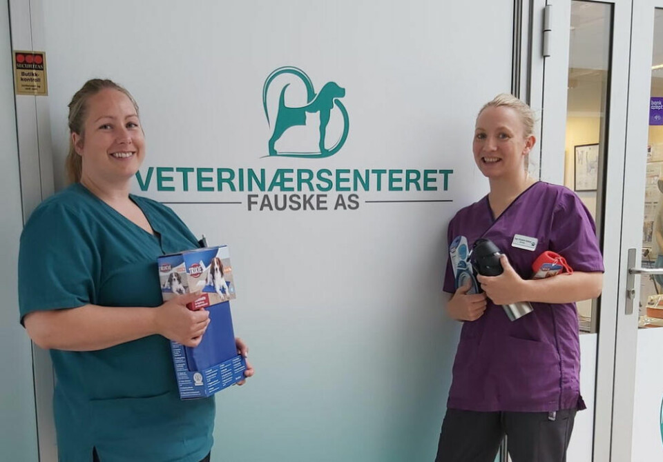 VETERINÆRSENTERET FAUSKE. Inger-Elisabeth Abelsen (t.h) og hennes kollega Lill Beathe Svendsen er enige om at det er viktig å gjøre tiltak for hunder i varmen. VETERINÆRSENTERET FAUSKE. Inger-Elisabeth Abelsen (t.h) og hennes kollega Lill Beathe Svendsen er enige om at det er viktig å gjøre tiltak for hunder i varmen. Foto: Stine Weronica Kveseth