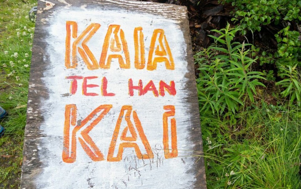 VELKOMMEN: Langs vannkanten på Rognan er det rigget til festival. VELKOMMEN: Langs vannkanten på Rognan er det rigget til festival. Foto: Anita Sjåvik