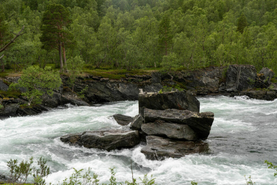 STERK VANNFØRING. Det renner en kraftig elv forbi campen. STERK VANNFØRING. Det renner en kraftig elv forbi campen. Foto: Anita Sjåvik
