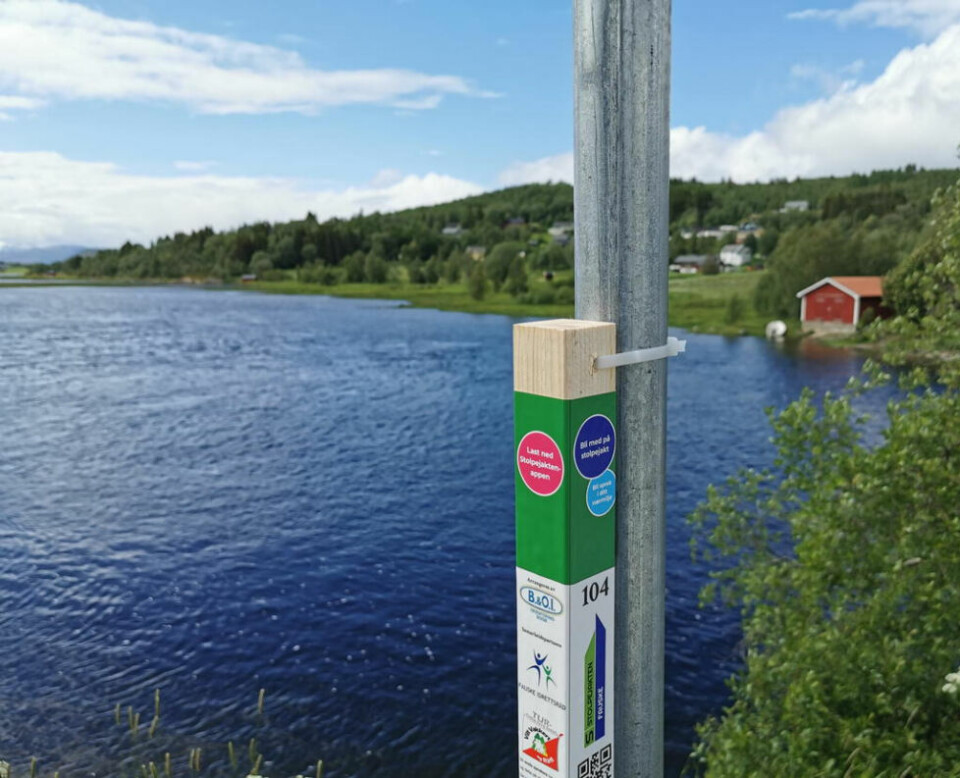 25 I TALLET. I fjor var det 25 stolper å leite seg fram til og registrere i Valnesfjord. I år er Valnesfjord byttet ut med Skjerstad. 25 I TALLET. I fjor var det 25 stolper å leite seg fram til og registrere i Valnesfjord. I år er Valnesfjord byttet ut med Skjerstad. Foto: Foto: Leif Magne Eggestad