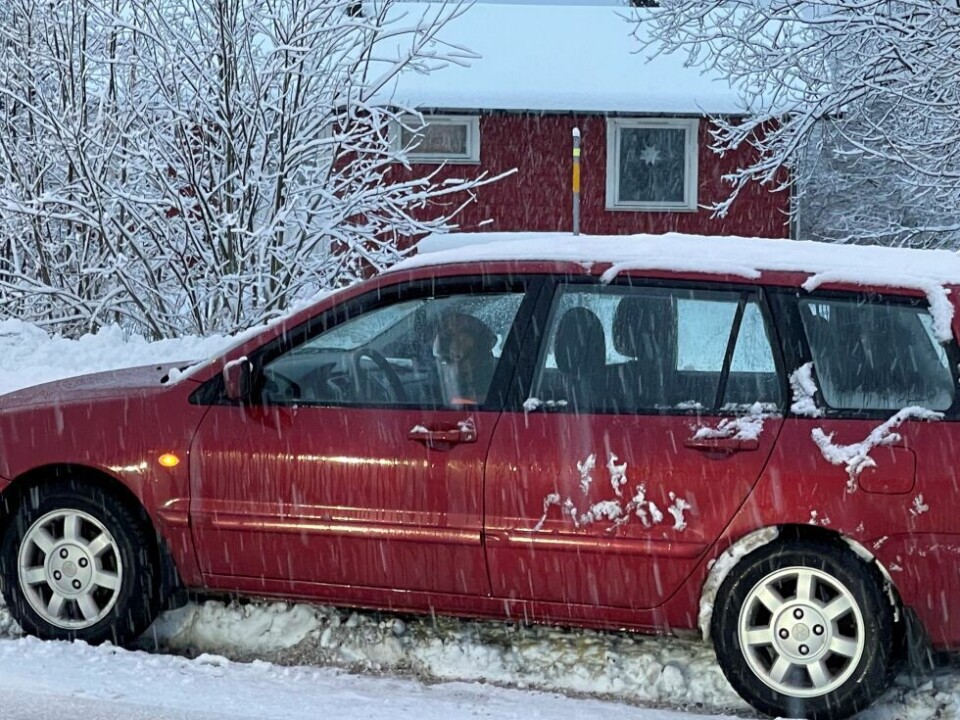 BAK RATTET. Litt senere, før bilen ble berget, satt det en hund bak rattet. Men den var neppe skyld i uhellet. BAK RATTET. Litt senere, før bilen ble berget, satt det en hund bak rattet. Men den var neppe skyld i uhellet. Foto: Geir Fyrvik