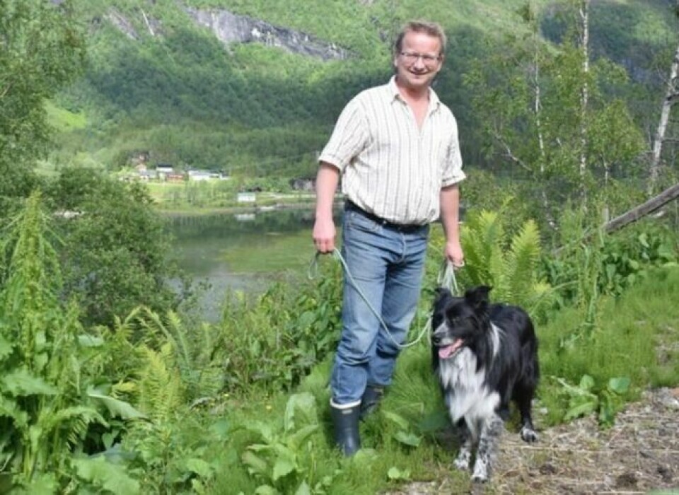 RADARPAR. Gisle Hansen og Lago (5) er ofte å se på tur, som her en sommerdag. Border collien er på tilbudssida og vasker gjerne sauene i ørene under morgen- og kveldsstellet. RADARPAR. Gisle Hansen og Lago (5) er ofte å se på tur, som her en sommerdag. Border collien er på tilbudssida og vasker gjerne sauene i ørene under morgen- og kveldsstellet. Foto: Eva S. Winther