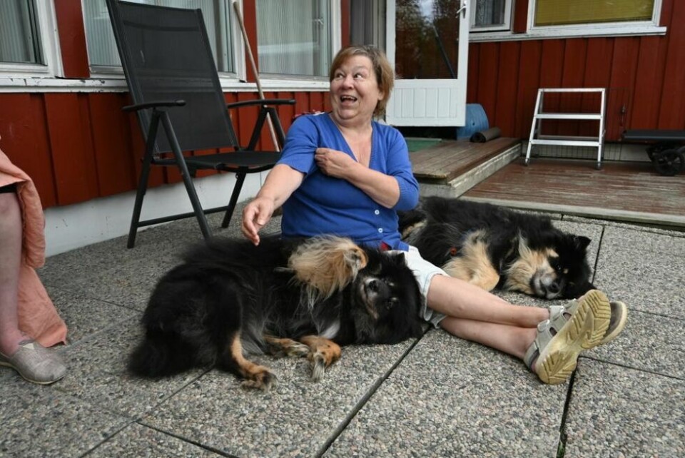 KOSETE BEGJÆR. Jorun Synnøve Nilsen (63) synes det er stas med nærkontakt av det kosebegjærlige slaget. KOSETE BEGJÆR. Jorun Synnøve Nilsen (63) synes det er stas med nærkontakt av det kosebegjærlige slaget. Foto: Kenneth Strømsvåg