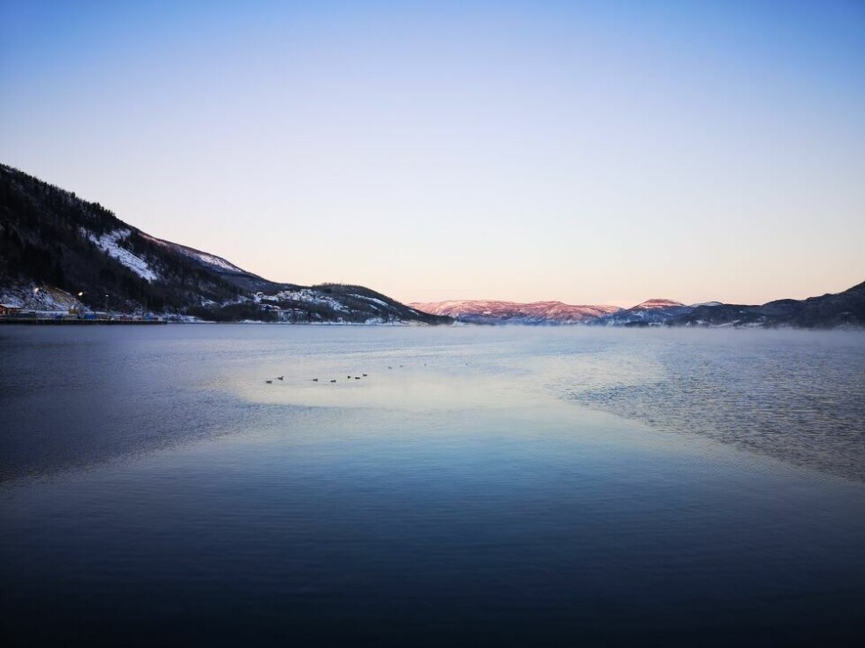 En frisk og fin lørdag på Rognan Brygge, melder fotografen. 12 minus var akkurat kaldt nok. En frisk og fin lørdag på Rognan Brygge, melder fotografen. 12 minus var akkurat kaldt nok. Foto: Stian Hansen Jørgensen