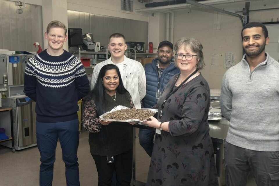 LARVER TIL LAKS. På Nord universitet i Bodø tørker de larver til laksefôr.Foran fra venstre Forsker Florence Perera og professor Mette Sørensen. Bak fra venstre studentene: Dmitri Henrik Blaau, Kirill Didenko, Anjana Mahesh Palihawadana (Head engineer) og Eyassu Ghebre.Professor. Mette Sørensen og forskningsassistent, Head Engineer, Anjana Mahesh Palihawadana med fôr oppdrettslaksen kan som er veldig lik det villaksen spiser. LARVER TIL LAKS. På Nord universitet i Bodø tørker de larver til laksefôr.Foran fra venstre Forsker Florence Perera og professor Mette Sørensen. Bak fra venstre studentene: Dmitri Henrik Blaau, Kirill Didenko, Anjana Mahesh Palihawadana (Head engineer) og Eyassu Ghebre.