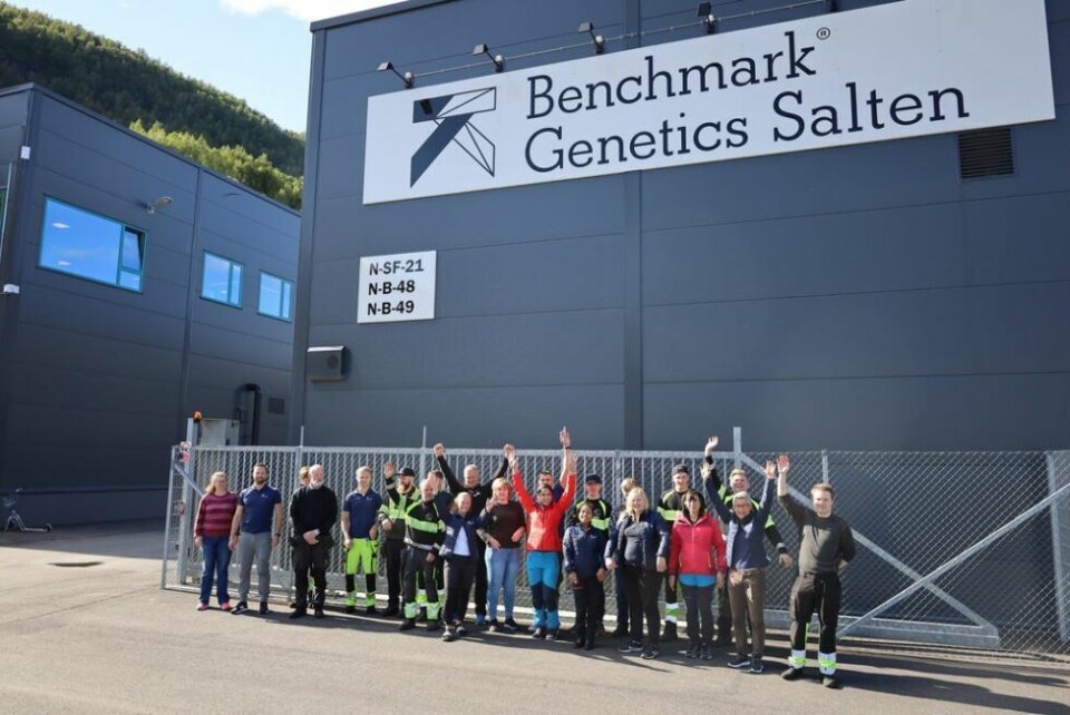 FEIRET NYTT NAVN. SalmoBreed Salten AS har skiftet navn til Benchmark Genetics Salten AS. Her er de ansatte utenfor anlegget i Sørfold.KAKE. Navneskiftet til Benchmark Genetics Salten AS ble feiret med kake. FEIRET NYTT NAVN. SalmoBreed Salten AS har skiftet navn til Benchmark Genetics Salten AS. Her er de ansatte utenfor anlegget i Sørfold.