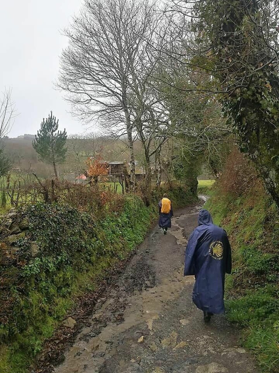 TURKLÆR. Om du planlegger å Ti på topp`e deg den neste uka, ja da er det regnklær du bør gå for. TURKLÆR. Om du planlegger å Ti på topp`e deg den neste uka, ja da er det regnklær du bør gå for. Foto: Maja Slettvoll Munkeby