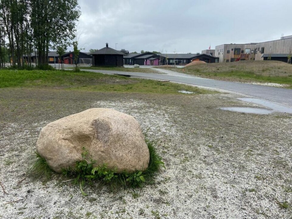 SKREMTE JENTE. Ei seks år gammel jente satt på denne steinen og ventet på faren sin da politiet kom kjørende. SKREMTE JENTE. Ei seks år gammel jente satt på denne steinen og ventet på faren sin da politiet kom kjørende. Foto: Kenneth Strømsvåg