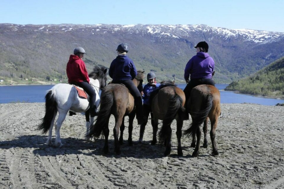 RIDETUR. Innimellom konserter og andre aktiviteter er det mulig å ta en tur på hesteryggen i Skjerstad. RIDETUR. Innimellom konserter og andre aktiviteter er det mulig å ta en tur på hesteryggen i Skjerstad. Foto: Maria Trondsen