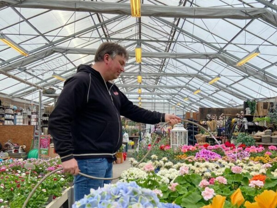 PLANTESTELL. Tor Odin Bertheussen steller godt med plantene året rundt. PLANTESTELL. Tor Odin Bertheussen steller godt med plantene året rundt. Foto: Lise Ailin Rosvoll Berntzen