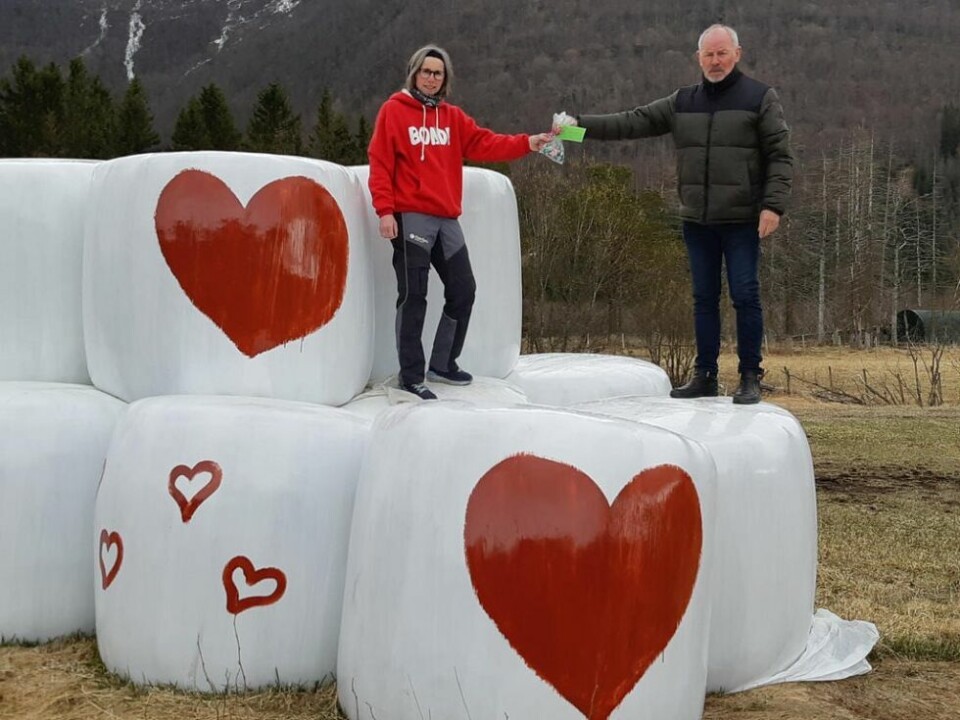 STÅR SAMMEN. Ordfører Rune Berg og lederen i Saltdal Bondelag, Tove Berre er enige. Saltdal trenger gårdsbrukene. STÅR SAMMEN. Ordfører Rune Berg og lederen i Saltdal Bondelag, Tove Berre er enige. Saltdal trenger gårdsbrukene. Foto: Per Drage