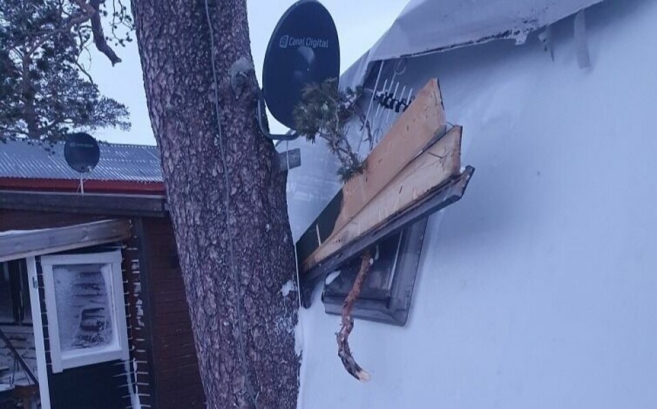 KASTET RUNDT. Campingvogna til Frode Pedersen og Siw Pettersen i Daja i Sulis ble kastet rundt av ekstremværet 'Frank' og slengt inntil ei stor furu. KASTET RUNDT. Campingvogna til Frode Pedersen og Siw Pettersen i Daja i Sulis ble kastet rundt av ekstremværet 'Frank' og slengt inntil ei stor furu. Foto: Frode Pedersen