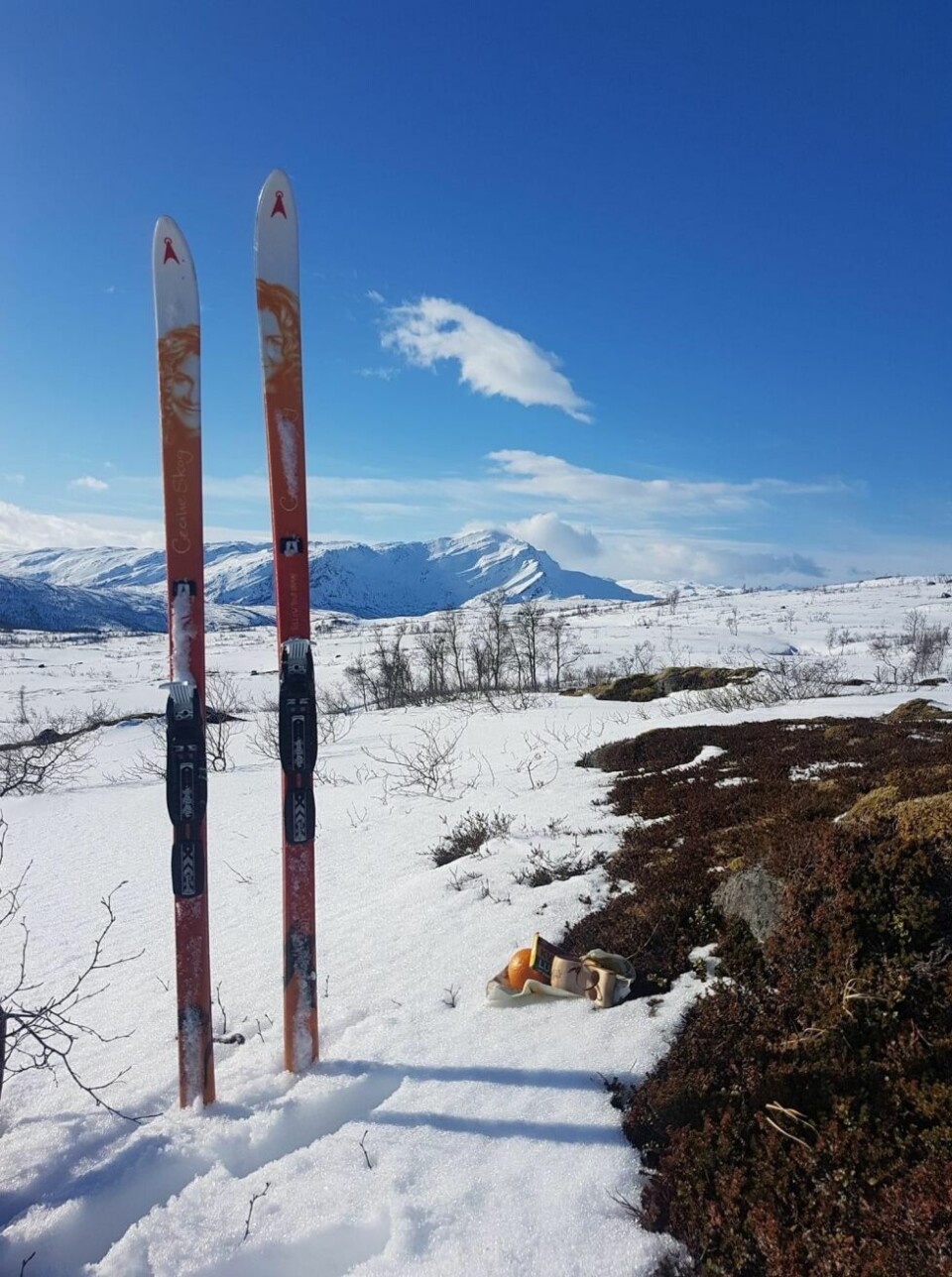 Påska 2021PÅSKE 2021. Dette er hva som gir Nina Vestengen påskefølelsen.