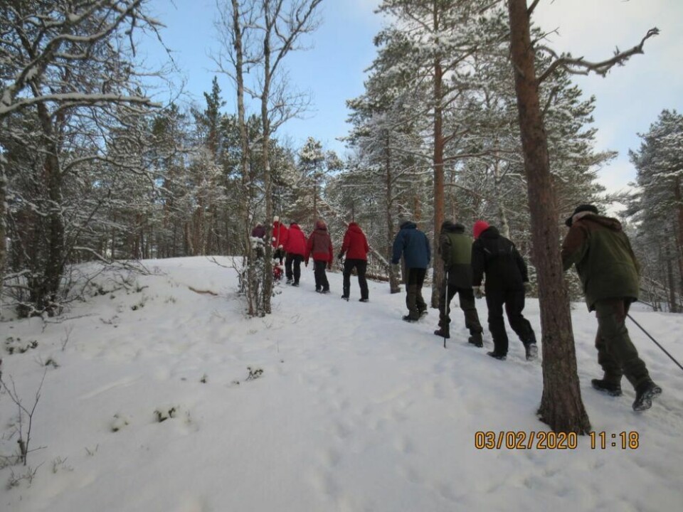 PÅ TUR. Seniorgruppa i SOT på vei opp mot gapahuken i Hauanmarka. PÅ TUR. Seniorgruppa i SOT på vei opp mot gapahuken i Hauanmarka. Foto: Marit Sigvang