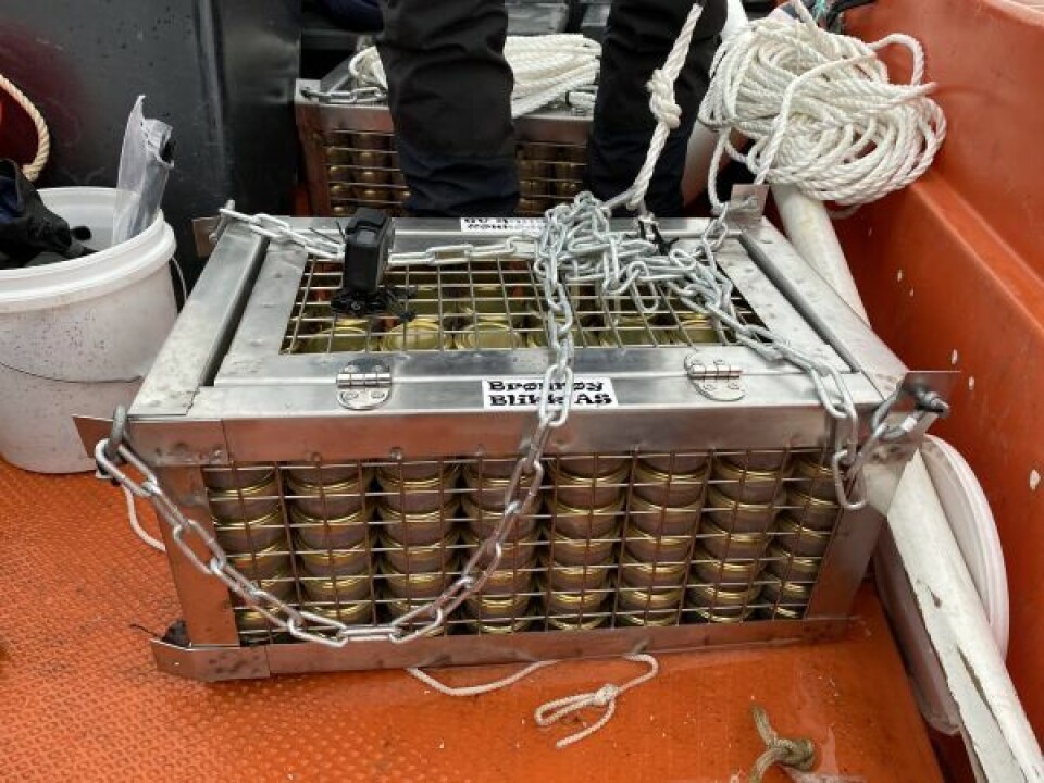 2000 GLASS. I slike syrefaste stålkasser skal de 2000 kaviarglassene lagres nede på 20 meters dyp. 2000 GLASS. I slike syrefaste stålkasser skal de 2000 kaviarglassene lagres nede på 20 meters dyp. Foto: Maria Edvardsen