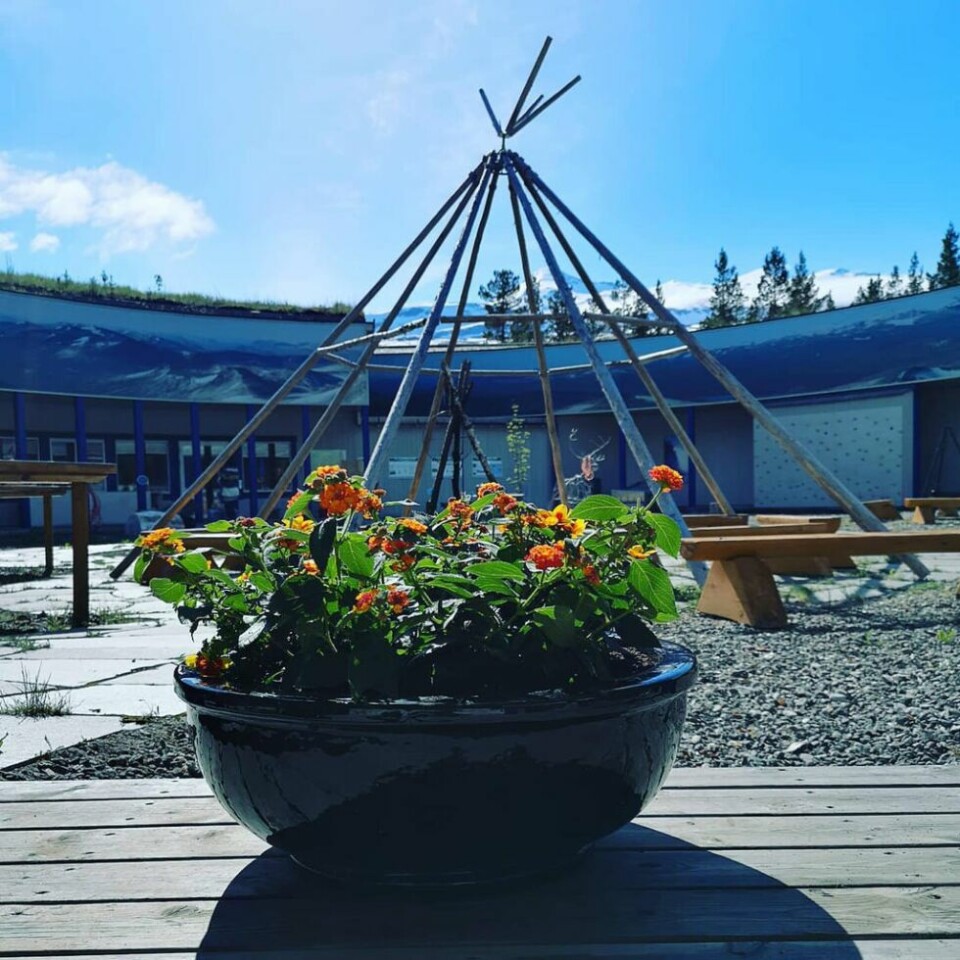 SUPERLOKALE VARER. Kommende mandag ønsker Nordland nasjonalparksenter velkommen til ny sesong. Butikken ved Nordland nasjonalparksenter starter i år med et eget utvalg av superlokal-produserte varer fra vårt område. SUPERLOKALE VARER. Kommende mandag ønsker Nordland nasjonalparksenter velkommen til ny sesong. Butikken ved Nordland nasjonalparksenter starter i år med et eget utvalg av superlokal-produserte varer fra vårt område. Foto: Nordland nasjonalparksenter
