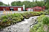 GODT VANN. Etter et par kilometer inne i fjellet, kommer vannkilden til Vikelva ut rett ved dagens Salten Smolt-anlegg. Vannet er rikt på mineraler, og har en PH-verdi og temperatur som gjør det godt egnet for oppdrett. – Vannkilden tror jeg har veldig mye å si for en god produksjon, sier Edvardsen. Foto: Tarjei Abelsen