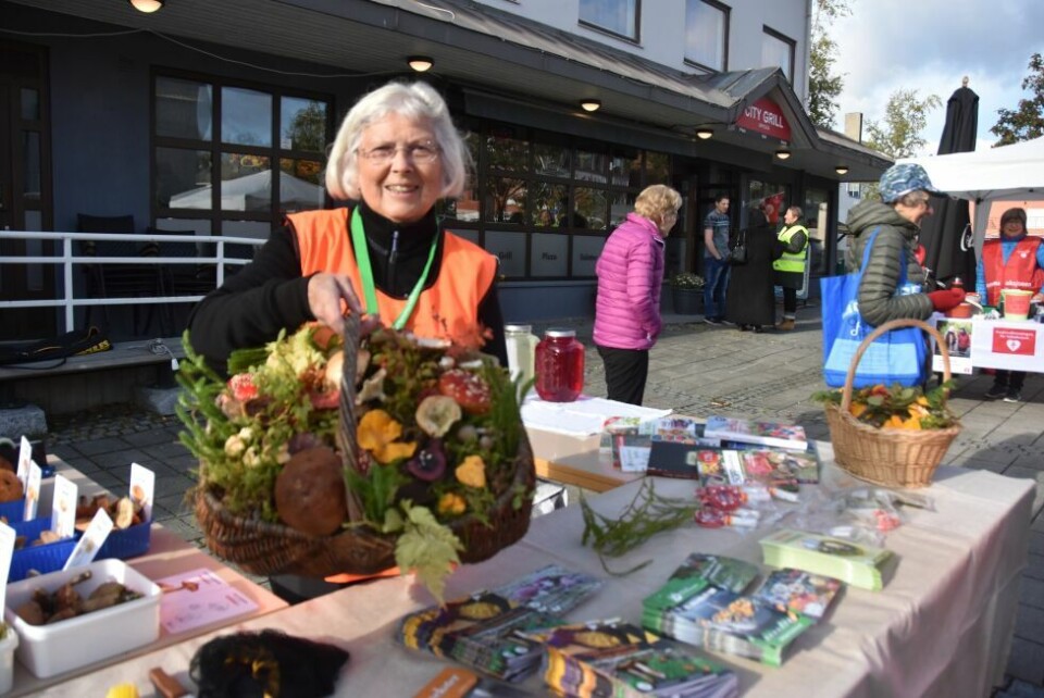 LEKKER KURV. Marit Nystabakk fra Salten Naturlag kan mye om sopp. LEKKER KURV. Marit Nystabakk fra Salten Naturlag kan mye om sopp. Foto: Sylvia Bredal