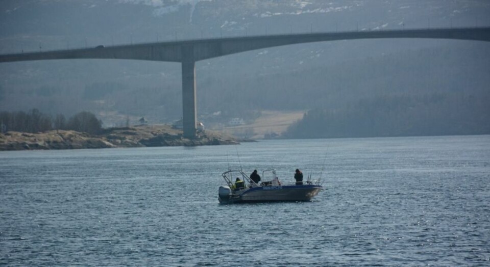 SALTSTRAUMEN. Det er mange andre båter på fjorden som hilser i det Blomøy kommer forbi. SALTSTRAUMEN. Det er mange andre båter på fjorden som hilser i det Blomøy kommer forbi.