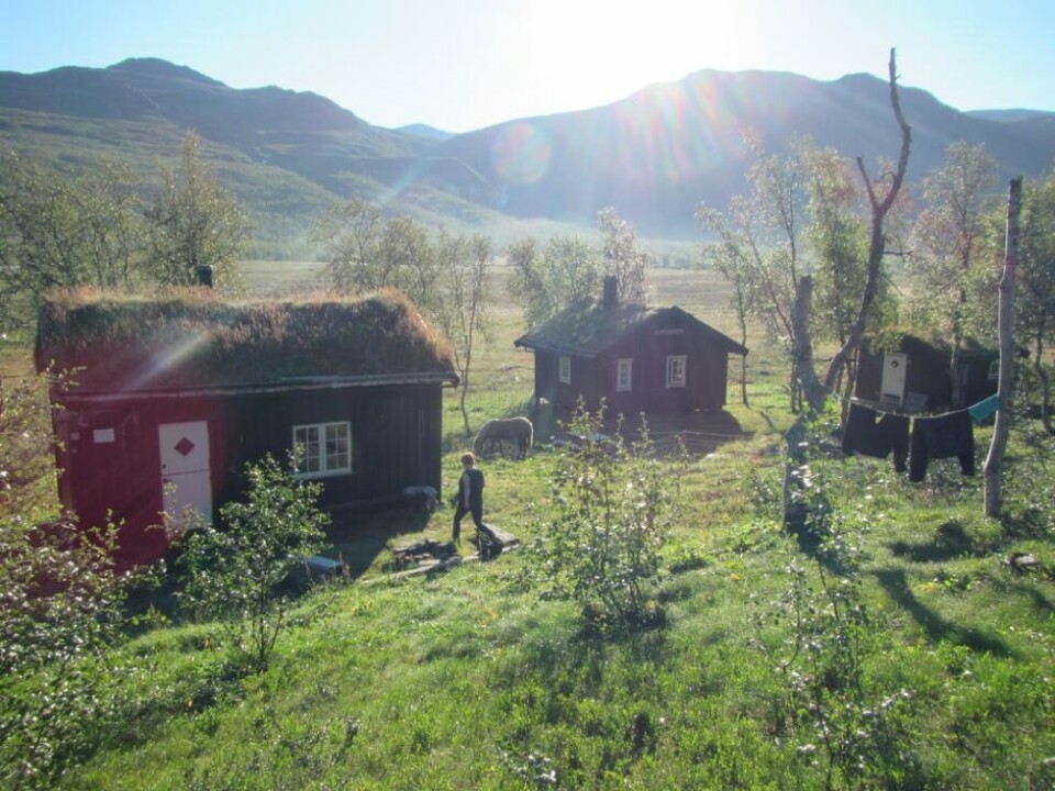 MATSTASJON. I august er det klart for første utgave av Telegrafruta Ultra 2019, et terrengløp som er lengre enn et vanlig maraton. Løpet går forbi Krukkistua, hvor en av matstasjonene skal være. Dett er den eneste av telegrafhyttene som er originale MATSTASJON. I august er det klart for første utgave av Telegrafruta Ultra 2019, et terrengløp som er lengre enn et vanlig maraton. Løpet går forbi Krukkistua, hvor en av matstasjonene skal være. Dett er den eneste av telegrafhyttene som er originale Foto: Foto: Gull H. Pedersen