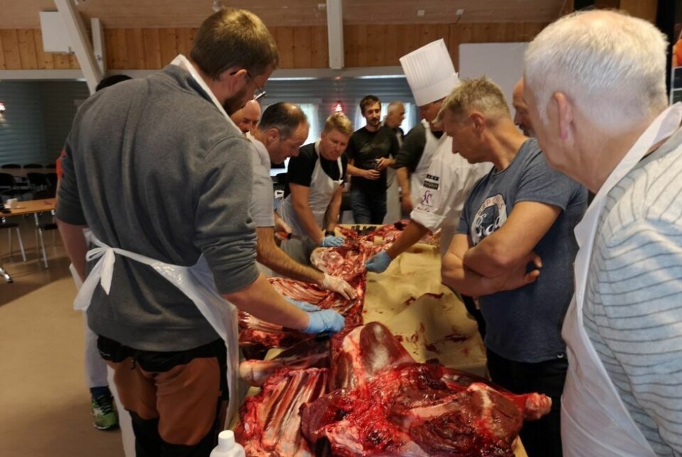 FULGTE MED. Det 18 elgjegerne fulgte godt med på parterings-kurset i Beiarn med mesterkokken Svein Jæger Hansen. Begge foto: Sverre BreivikUTNYTTE. Det skal kunnskap til for å partere en elg slik at kjøttet kommer til sin rett, og ikke bare blir brukt til kjøttdeig. FULGTE MED. Det 18 elgjegerne fulgte godt med på parterings-kurset i Beiarn med mesterkokken Svein Jæger Hansen. Begge foto: Sverre Breivik