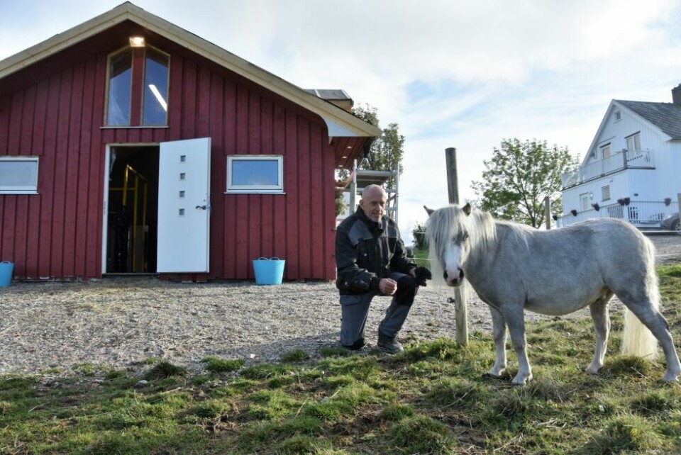 HANDYMAN. Aage Iversen snekrer både møbler og bygninger, og stallen i bakgrunnen satte han opp ut fra ei tegning han hadde lagd på en serviett. Minihesten Trygve er fornøyd med å kunne gå inn og ut som han vil. HANDYMAN. Aage Iversen snekrer både møbler og bygninger, og stallen i bakgrunnen satte han opp ut fra ei tegning han hadde lagd på en serviett. Minihesten Trygve er fornøyd med å kunne gå inn og ut som han vil. Foto: Maria Trondsen