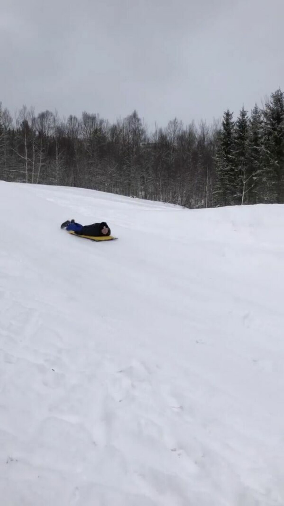 Aking er gøy uansett alder. Dette er fra skileikbakken i Klungsetmarka. Aking er gøy uansett alder. Dette er fra skileikbakken i Klungsetmarka.