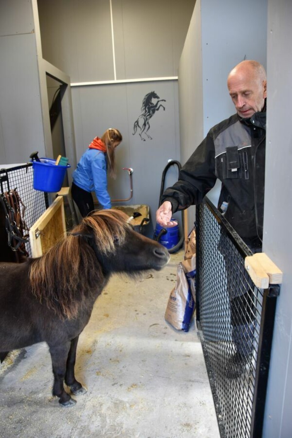 GÅRDSLIV. Aage Iversen hilser på Shadow i den nye stallen hennes. I bakgrunnen stalljenta Sofie som holder på med dagens økt. GÅRDSLIV. Aage Iversen hilser på Shadow i den nye stallen hennes. I bakgrunnen stalljenta Sofie som holder på med dagens økt. Foto: Maria Trondsen