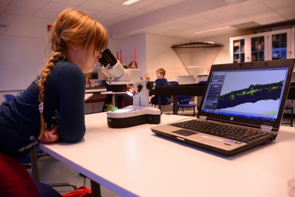 SMÅ FORSKERE. Det er mye forskjellige aktiviteter på Newton-rommet i Sørfold, og mer skal det bli med mineralsatsinga. Her fra en dag da barnehagebarn var på besøk for å se på ting i mikroskop. SMÅ FORSKERE. Det er mye forskjellige aktiviteter på Newton-rommet i Sørfold, og mer skal det bli med mineralsatsinga. Her fra en dag da barnehagebarn var på besøk for å se på ting i mikroskop. Foto: Bjørnar Pettersen